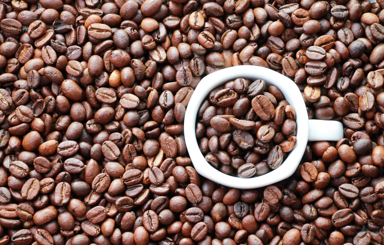 Photo wallpaper background, mood, coffee, grain, round, mug, picture, coffee beans