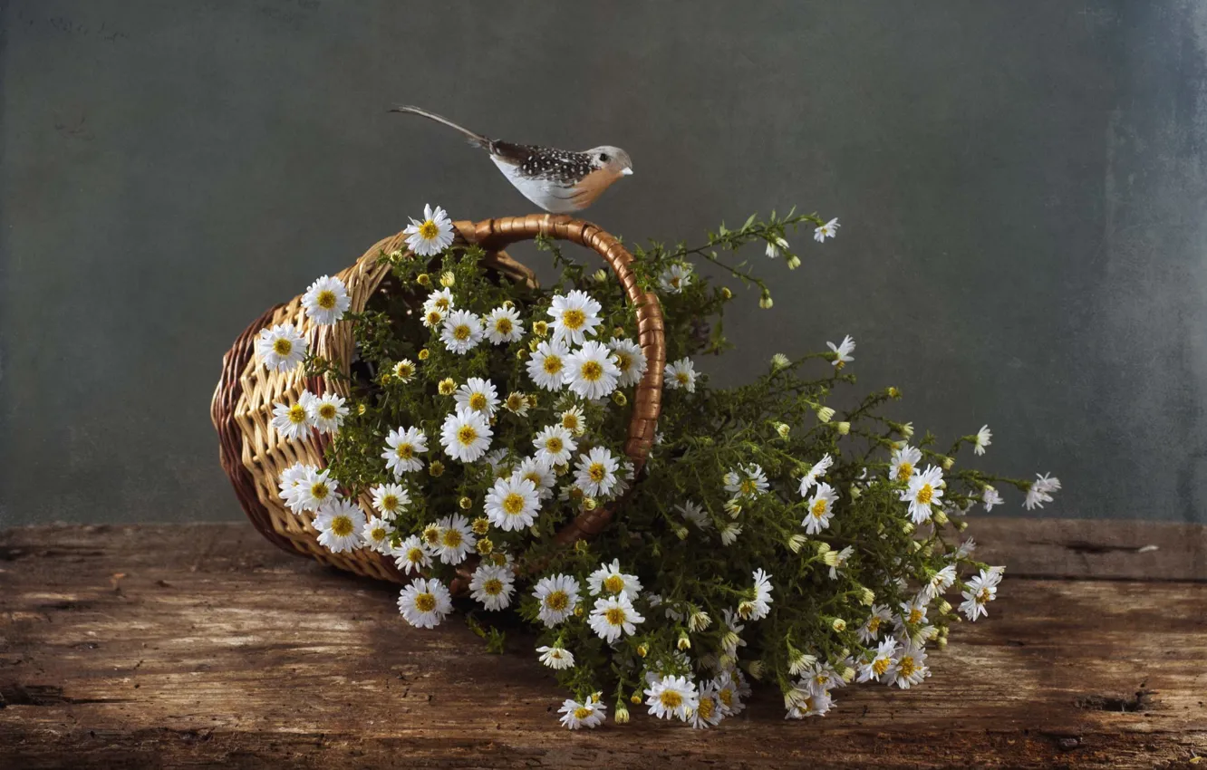 Photo wallpaper basket, bird, asters