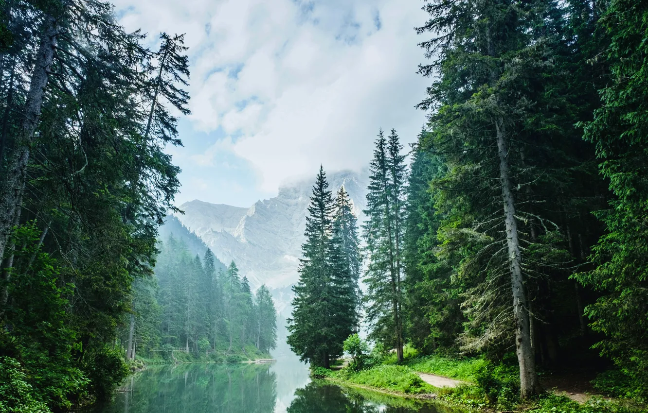Photo wallpaper forest, clouds, mountains, lake, reflection, spruce, forest, spruce forest