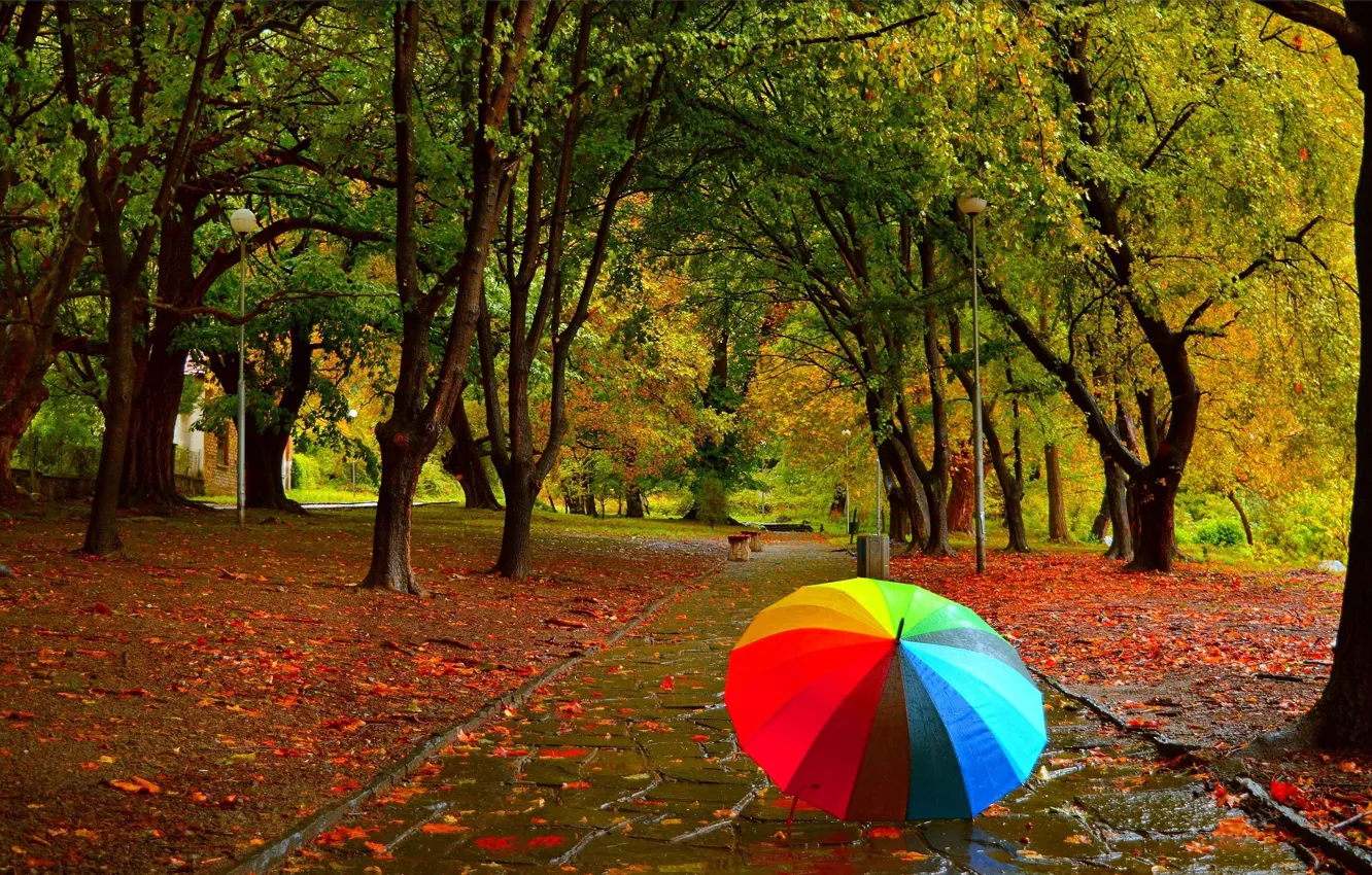Photo wallpaper Autumn, Rain, Umbrella, Park, Fall, Foliage, Park, Autumn