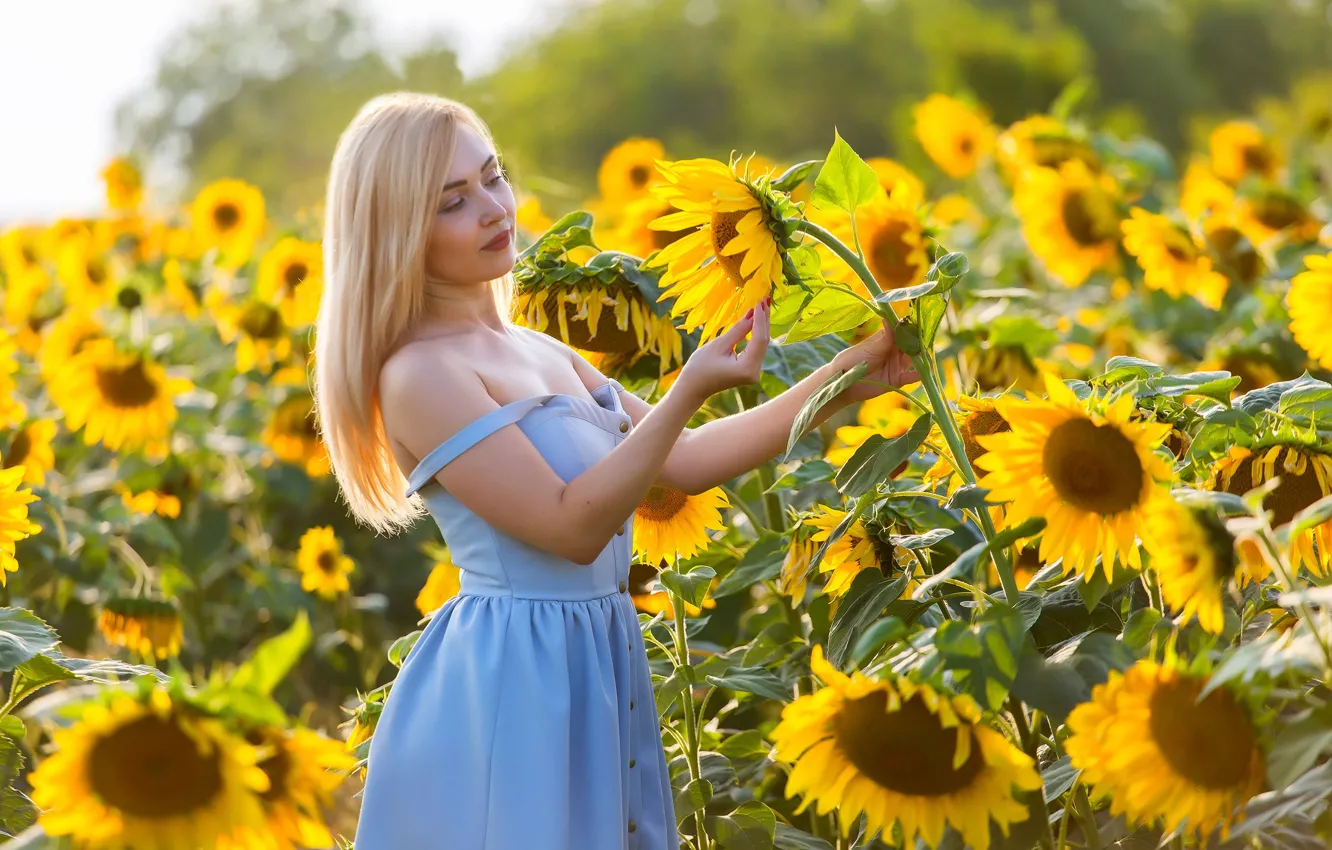 Photo wallpaper field, summer, girl, sunflowers, mood, blonde, Elena, sundress