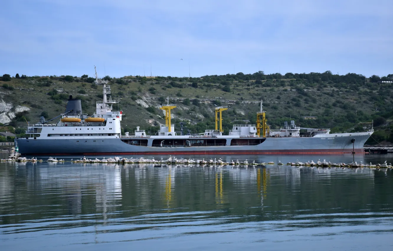 Photo wallpaper seagulls, tanker, Sevastopol