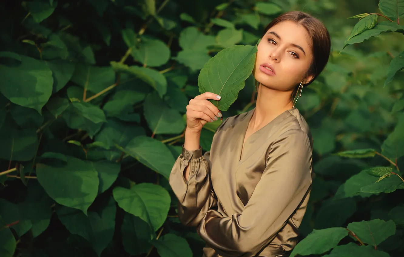 Photo wallpaper look, leaves, girl, face, pose, mood, hands, Dasha