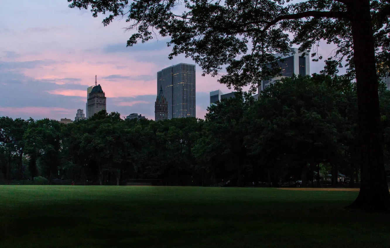 Photo wallpaper USA, grass, skyline, trees, nature, New York, Manhattan, park
