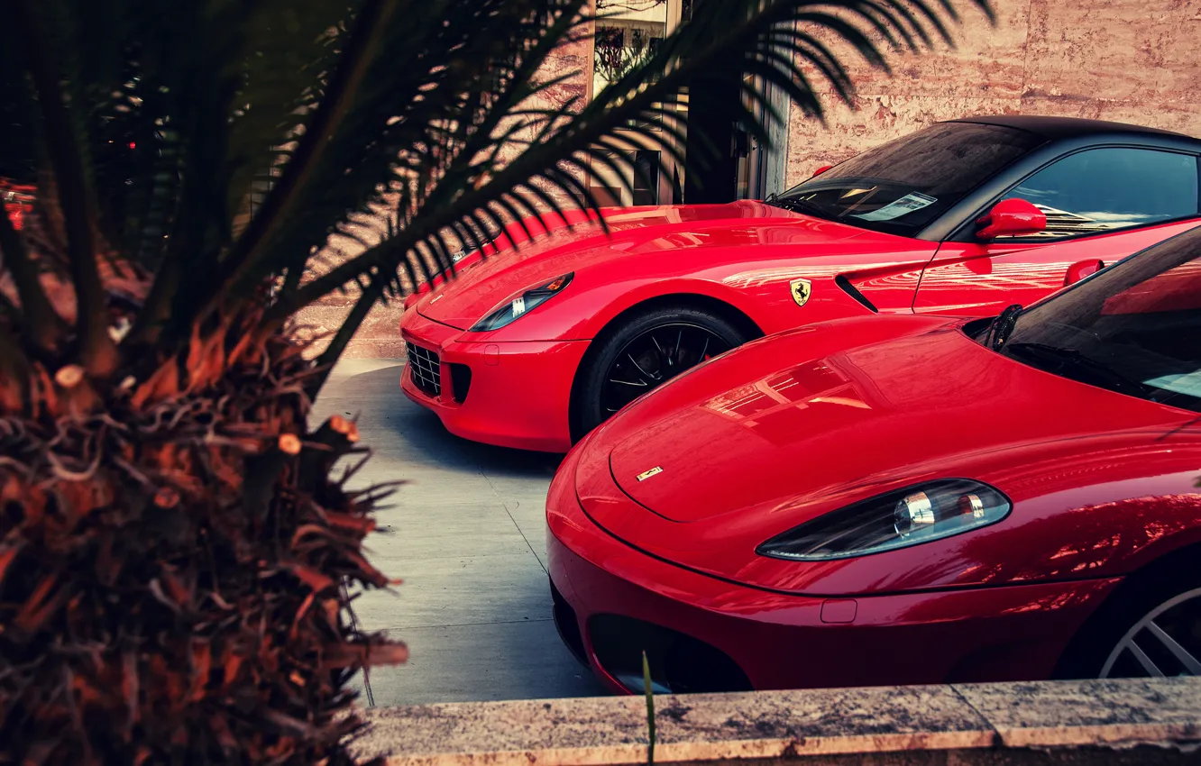 Photo wallpaper red, F430, Ferrari, red, Ferrari, 599, GTO, palm