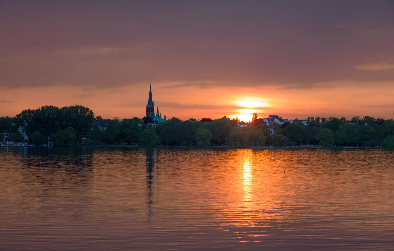 Photo wallpaper trees, lake, the evening, Germany, Hamburg