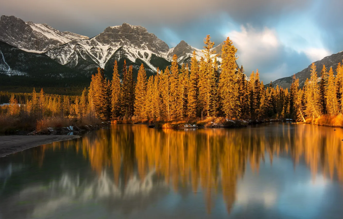 Photo wallpaper forest, clouds, light, mountains, lake, reflection, rocks, shore