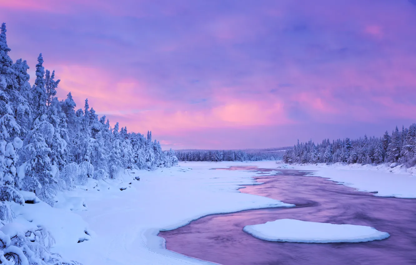 Photo wallpaper winter, the sky, snow, nature, river, spruce, Finland, Lapland