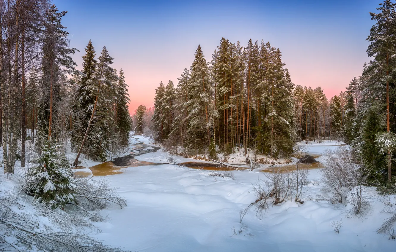 Photo wallpaper winter, forest, river