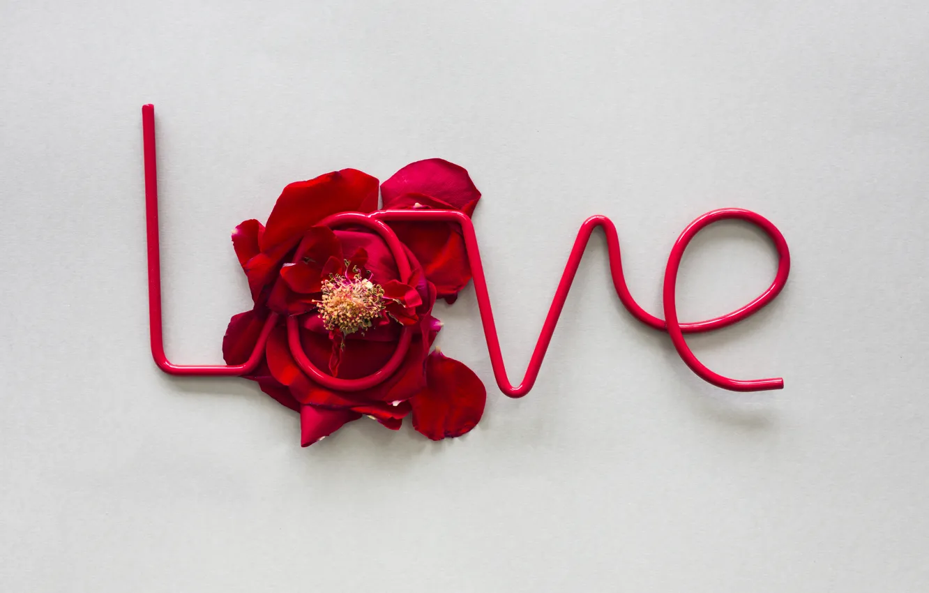 Photo wallpaper love, roses, petals, red, love, rose, romantic, petals