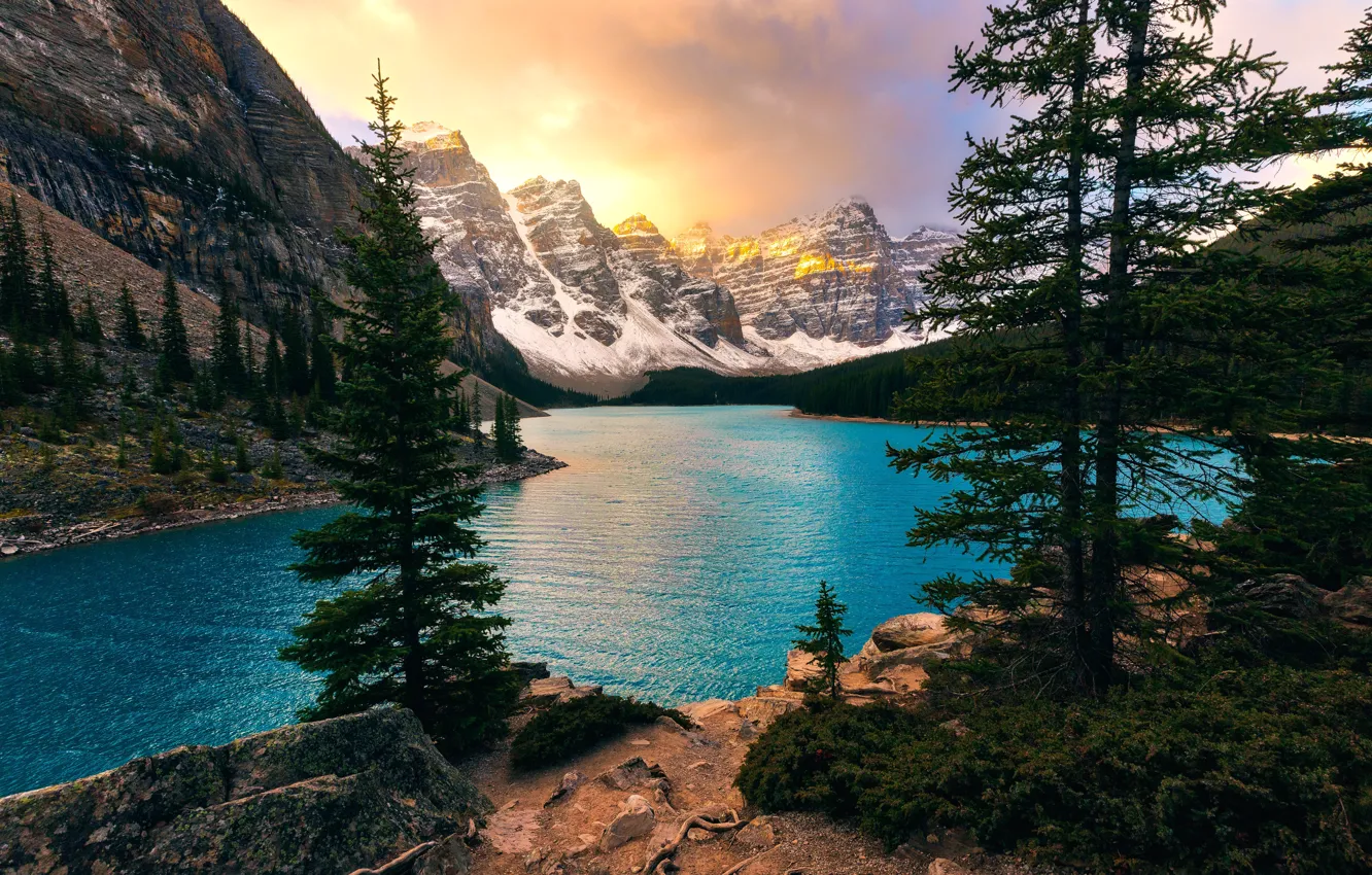 Photo wallpaper trees, mountains, lake, ate, Canada, Albert, Banff National Park, Alberta