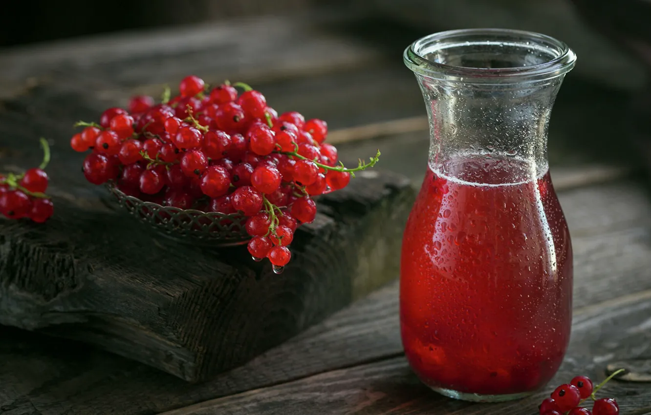 Photo wallpaper red, currants, Morse