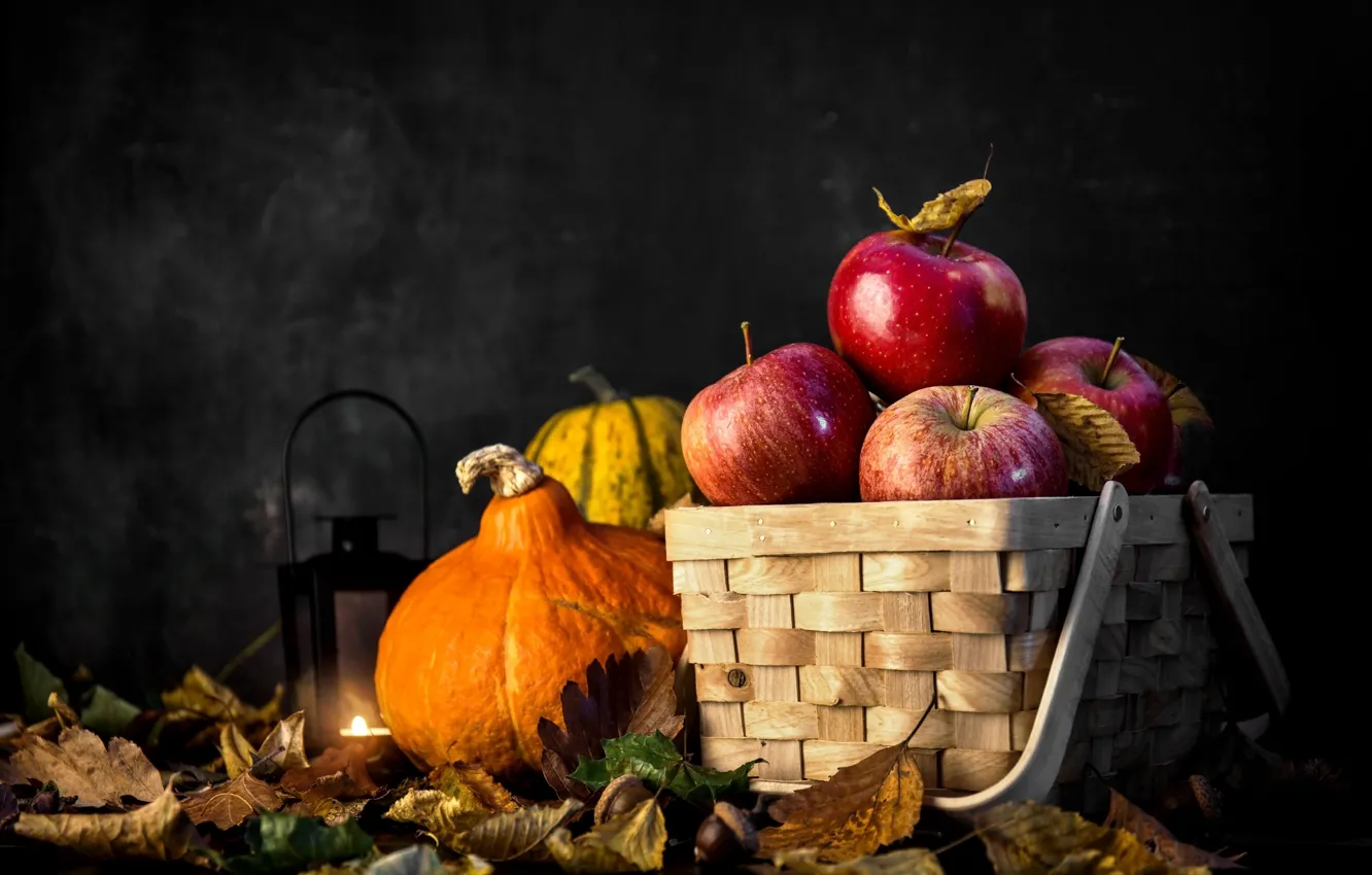 Photo wallpaper autumn, leaves, basket, pumpkin, still life, aloki