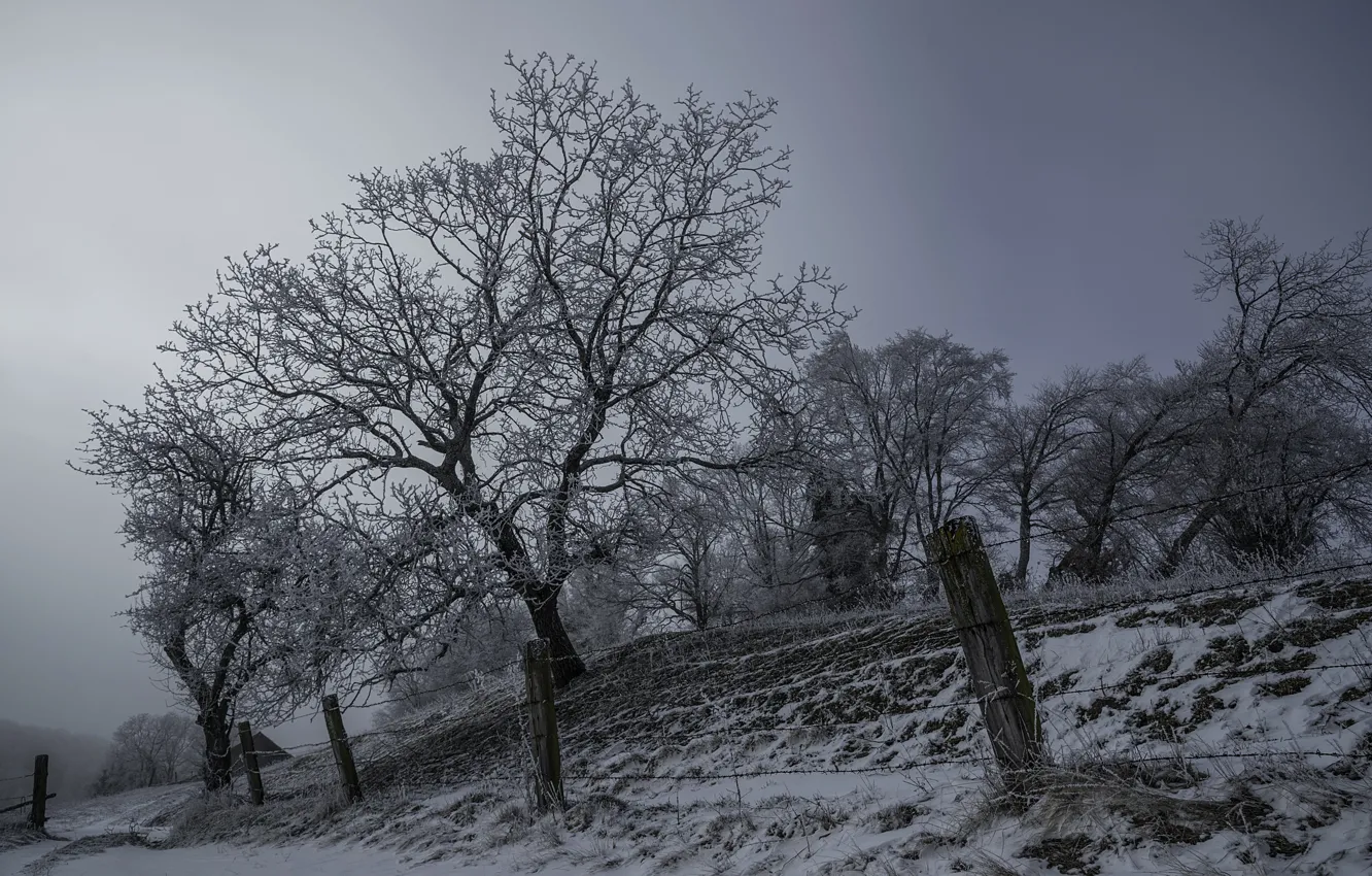 Photo wallpaper winter, night, the fence