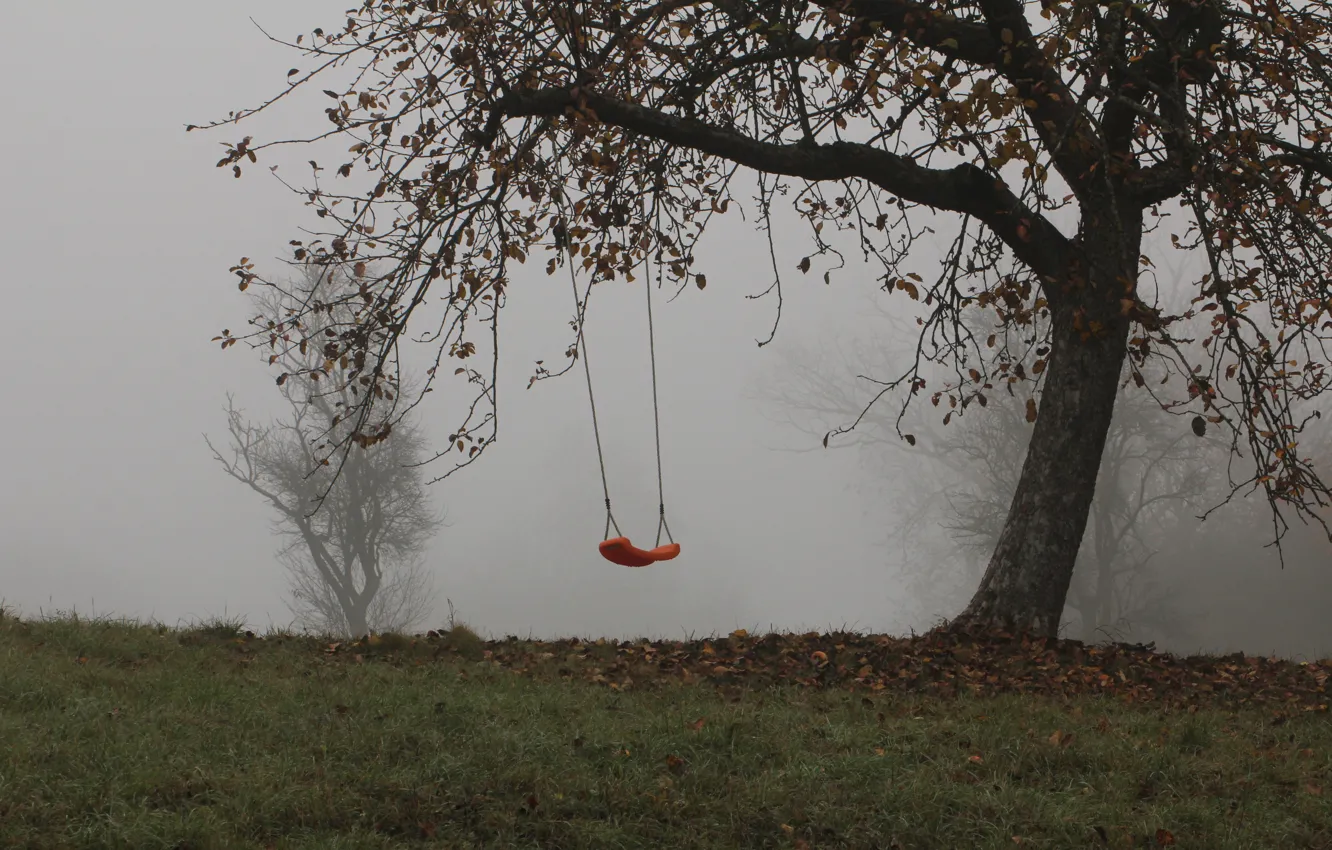 Photo wallpaper trees, fog, swing, Autumn, trees, autumn, fog, swing