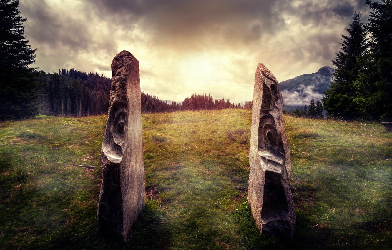 Photo wallpaper field, stones, treatment, Stonescape