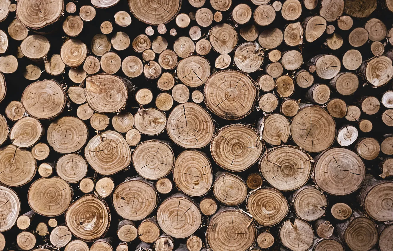 Photo wallpaper wood, firewood, logs, Pile