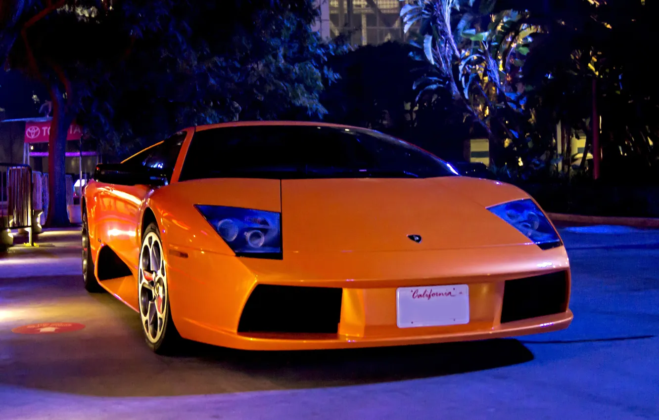 Photo wallpaper trees, orange, the evening, Lamborghini, murcielago, lp640, orange, Lamborghini
