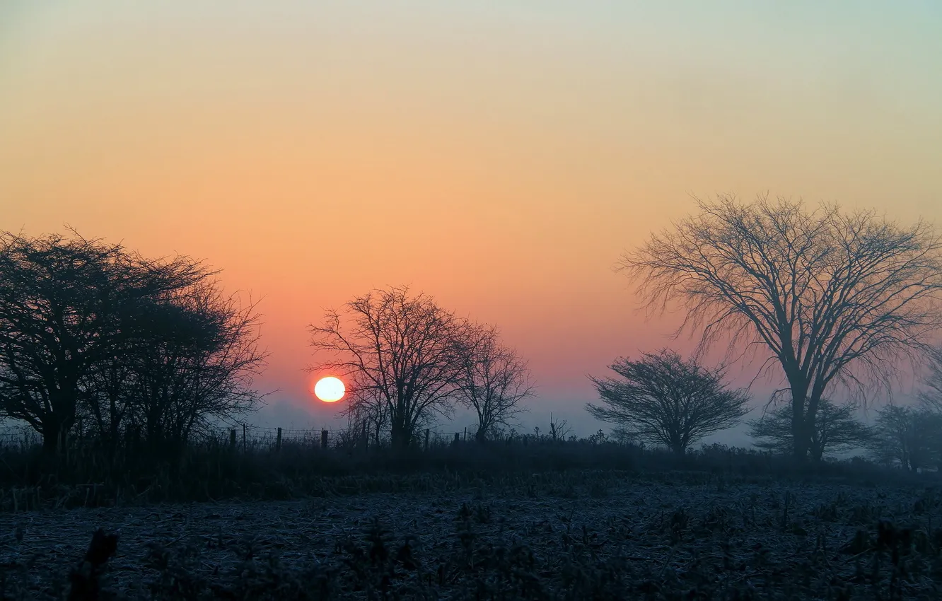 Photo wallpaper field, landscape, night