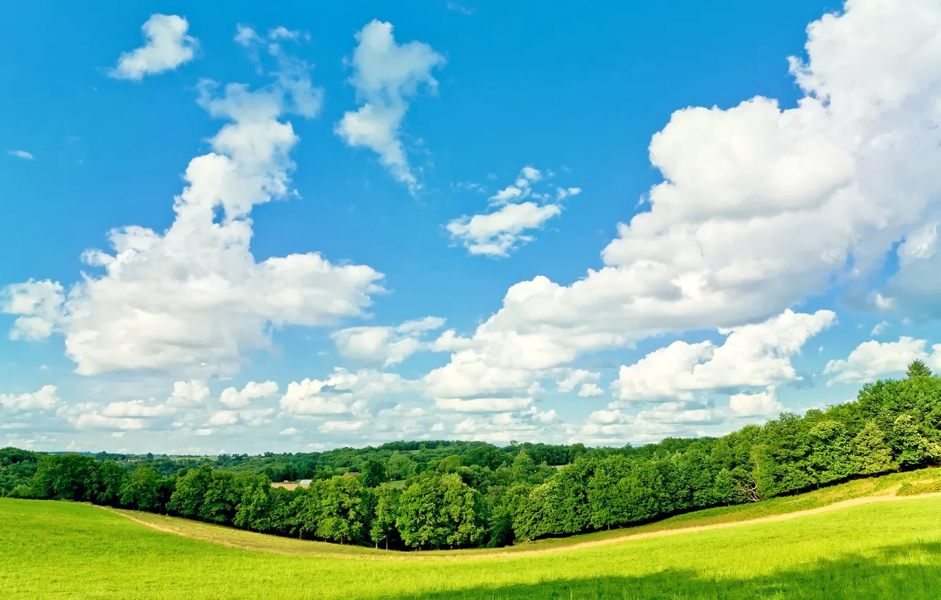 Photo wallpaper summer, the sky, grass, clouds, trees, Sunny
