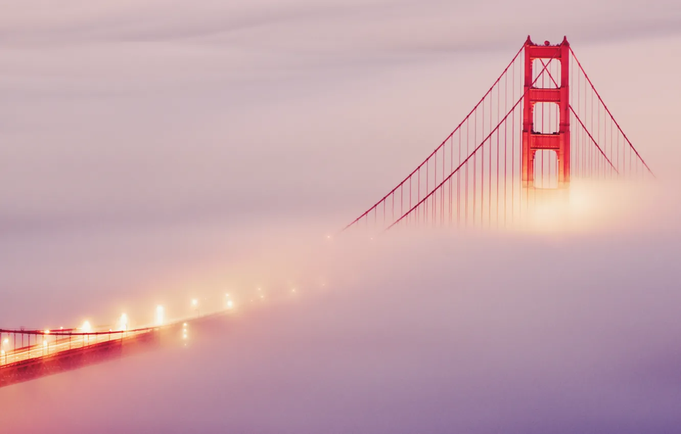 Photo wallpaper bridge, lights, fog, San Francisco, golden gate bridge