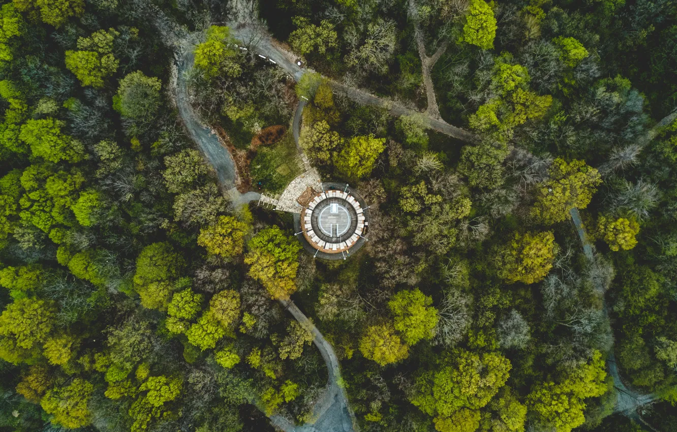 Photo wallpaper trees, Park, landscape, tower, Canada, Montreal, Canada, the view from the top