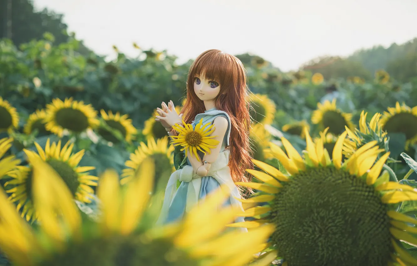 Photo wallpaper sunflowers, toy, doll