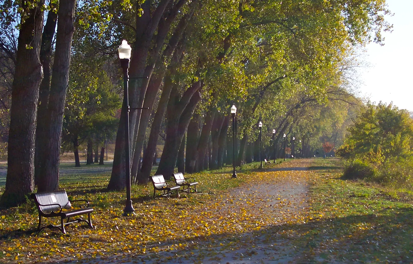 Photo wallpaper autumn, leaves, trees, foliage, lights, Park, benches