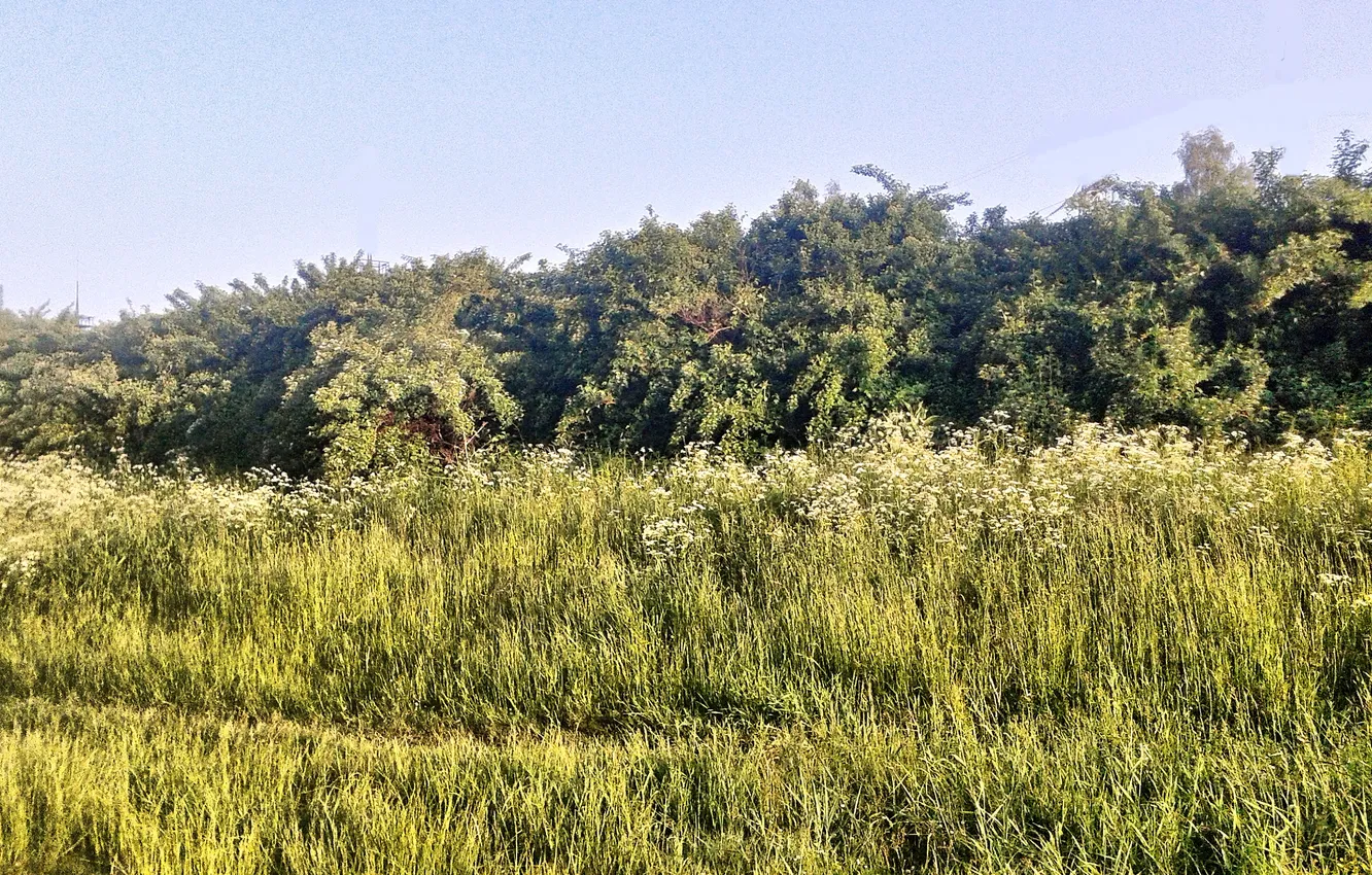 Photo wallpaper landscape, nature, Park