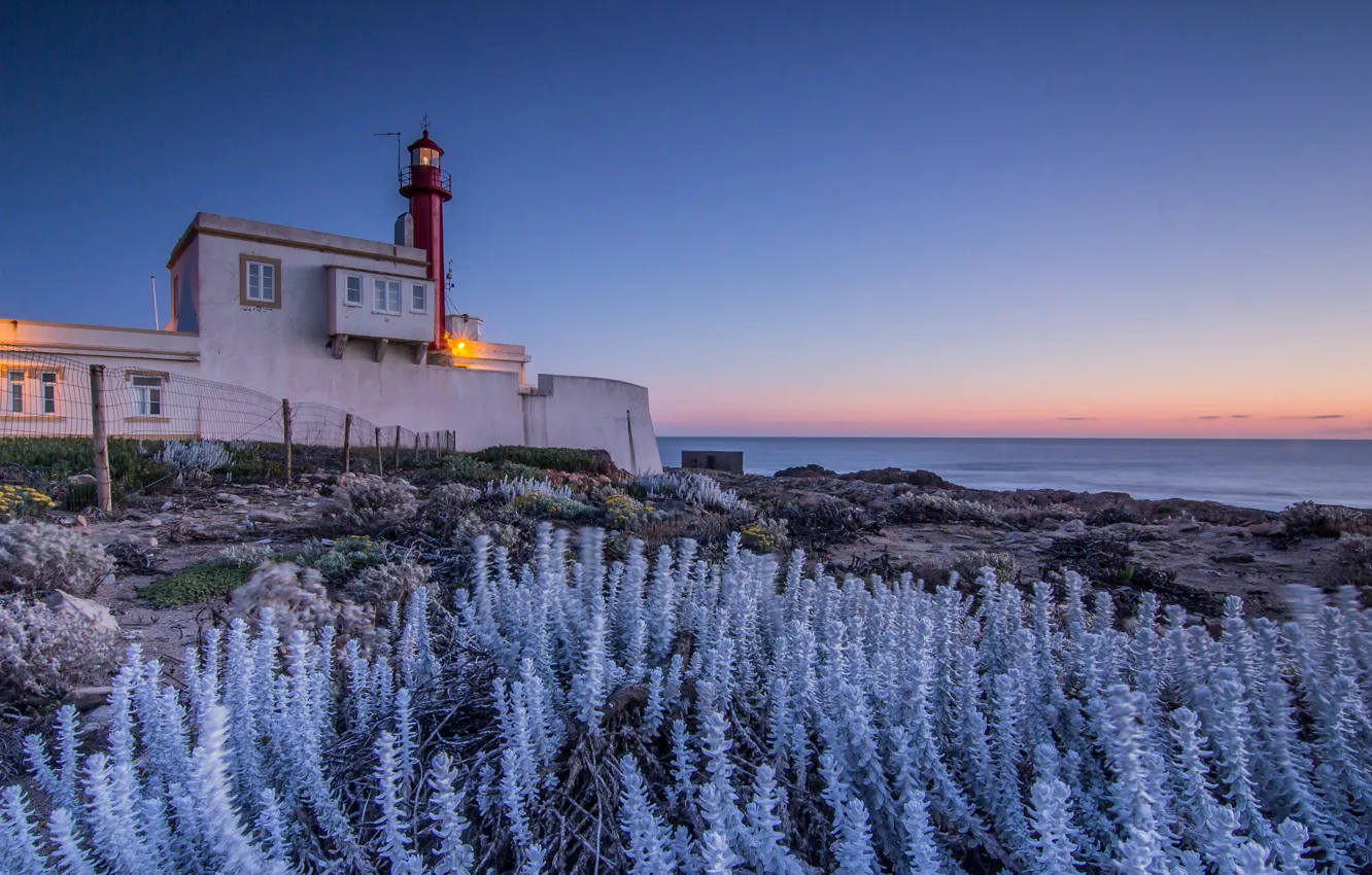 Photo wallpaper light, sunset, the ocean, shore, vegetation, lighthouse, the evening, Portugal