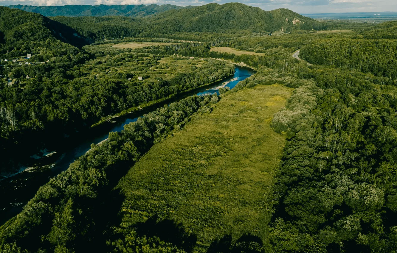 Photo wallpaper greens, forest, mountains, nature, river, hills, shore, dal