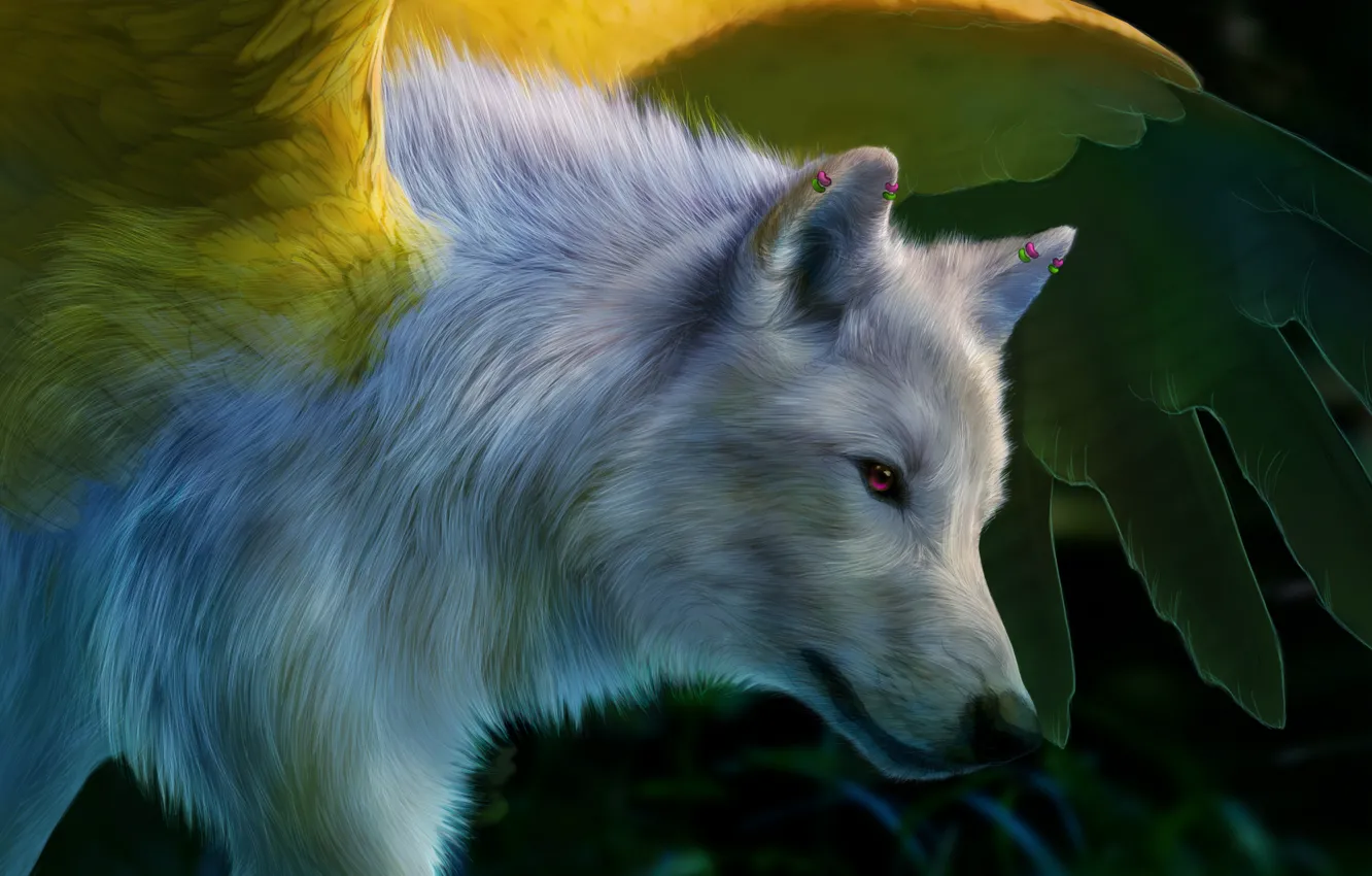 Photo wallpaper white, wolf, wings, art, pink eye, novawuff
