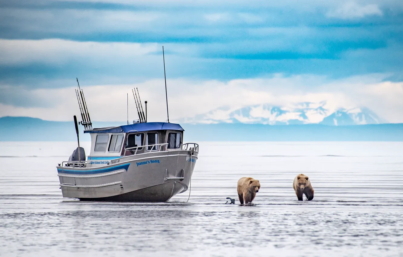 Photo wallpaper winter, animals, snow, landscape, nature, lake, predators, Alaska