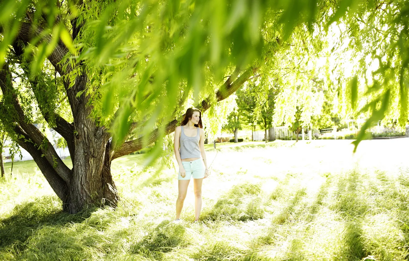 Photo wallpaper summer, girl, light, trees