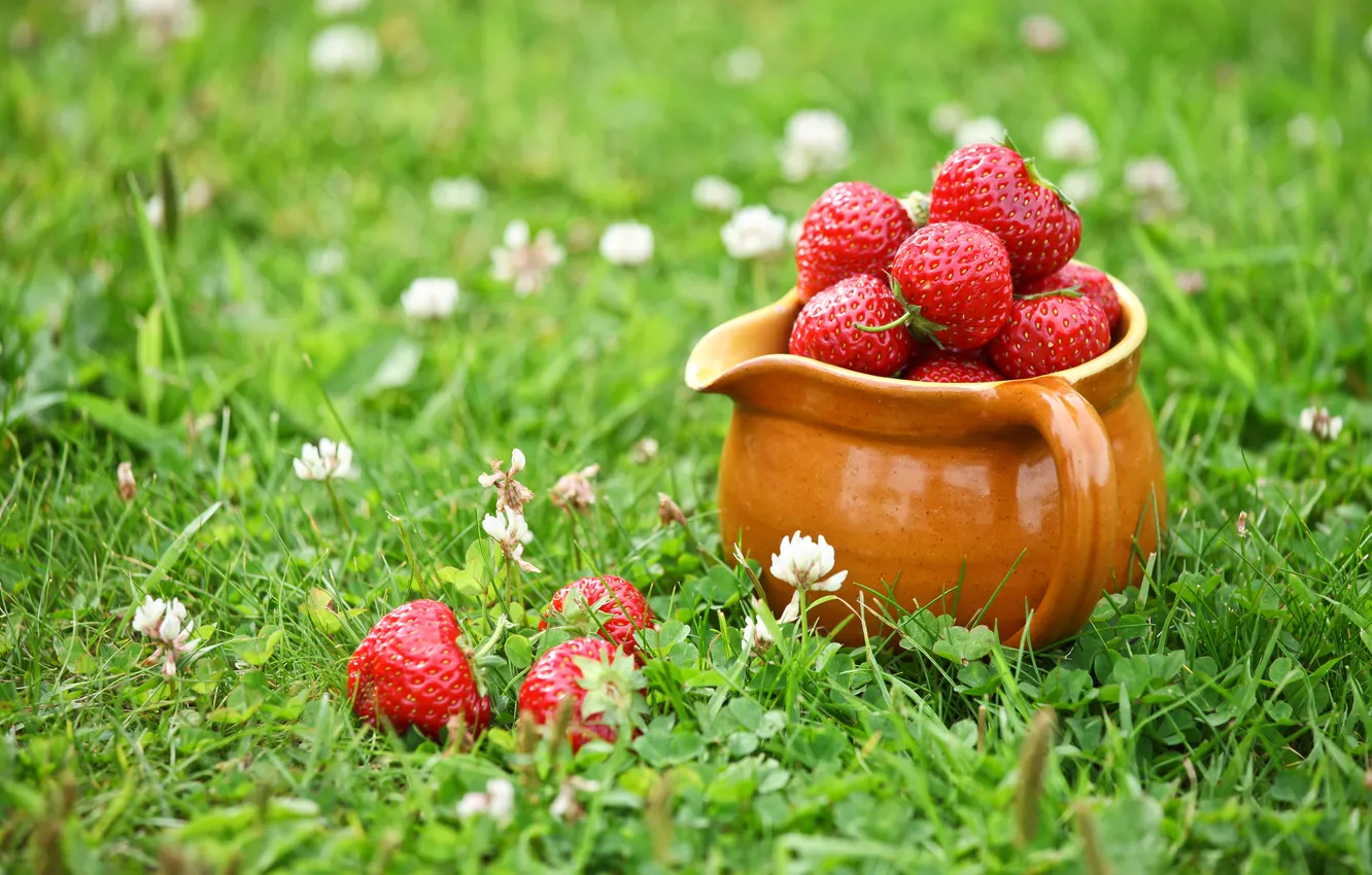 Photo wallpaper grass, berries, strawberry, clover, pitcher