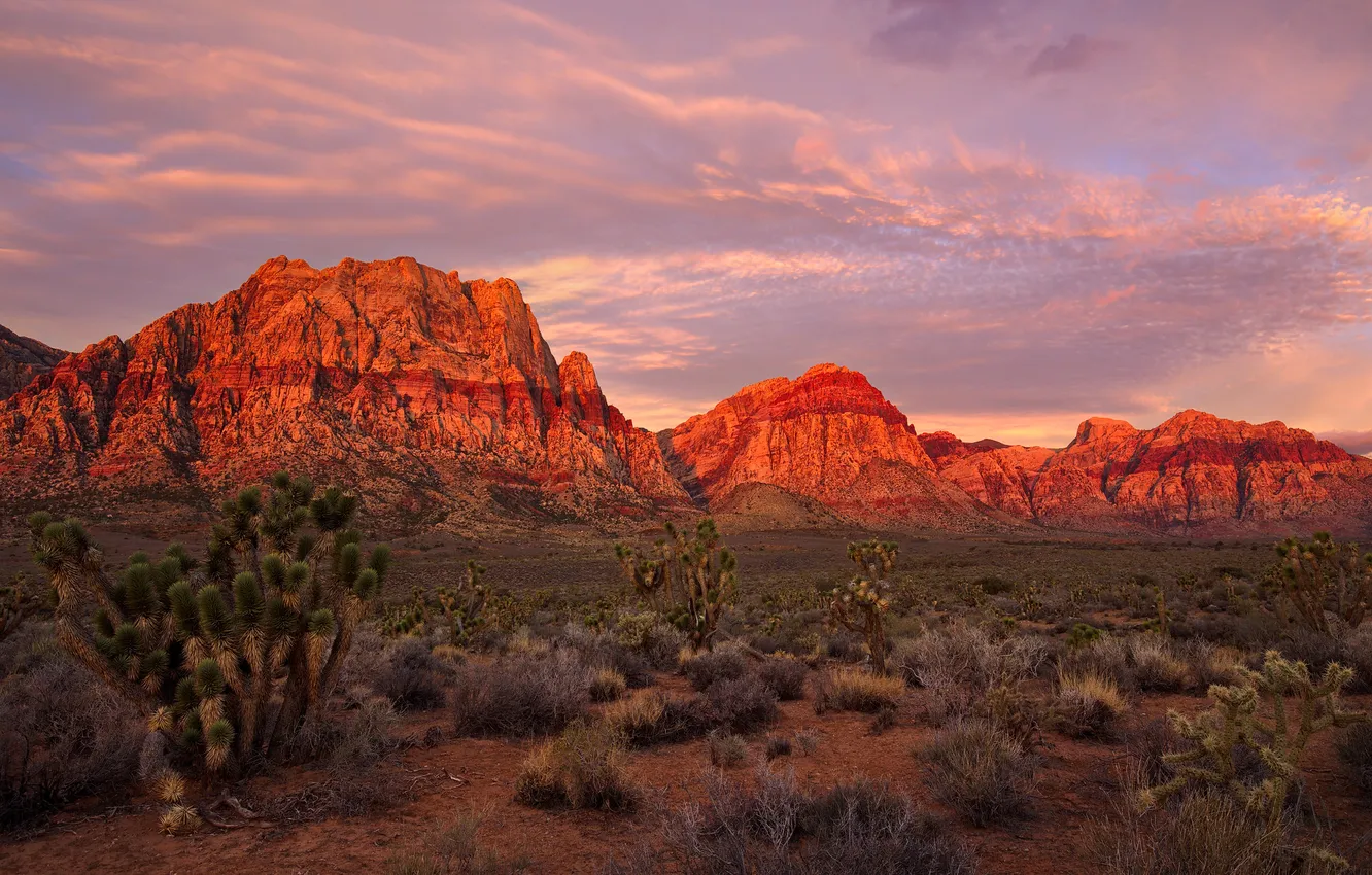 Photo wallpaper mountains, rocks, desert, Las Vegas, glow, USA, Nevada, Red Rock Canyon