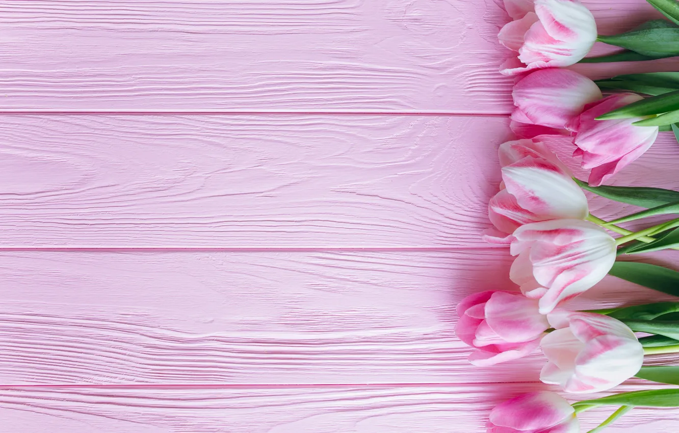 Photo wallpaper flowers, tulips, pink, fresh, wood, pink, flowers, beautiful