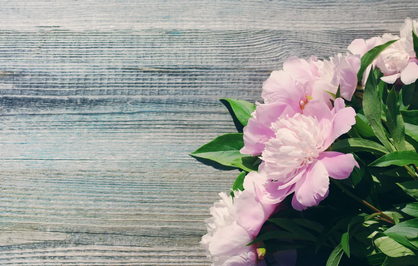 Photo wallpaper bouquet, pink, wood, pink, flowers, beautiful, peonies, peony