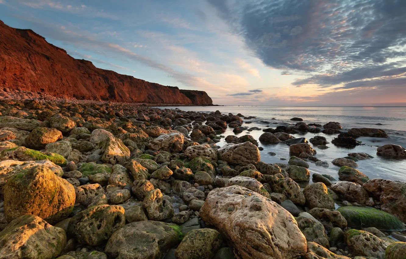 Photo wallpaper stones, coast, England, County Durham, Horden
