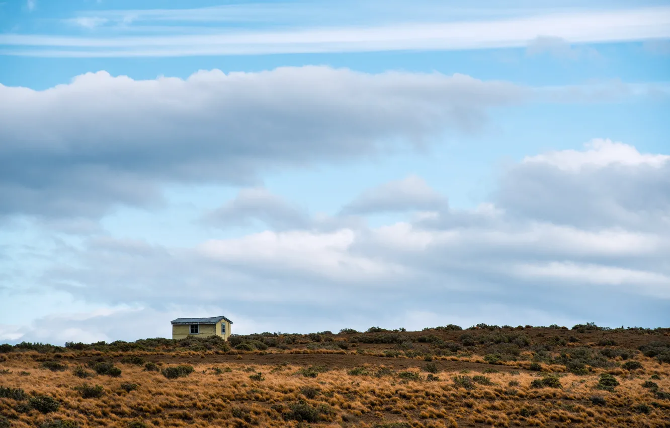Photo wallpaper field, the sky, home