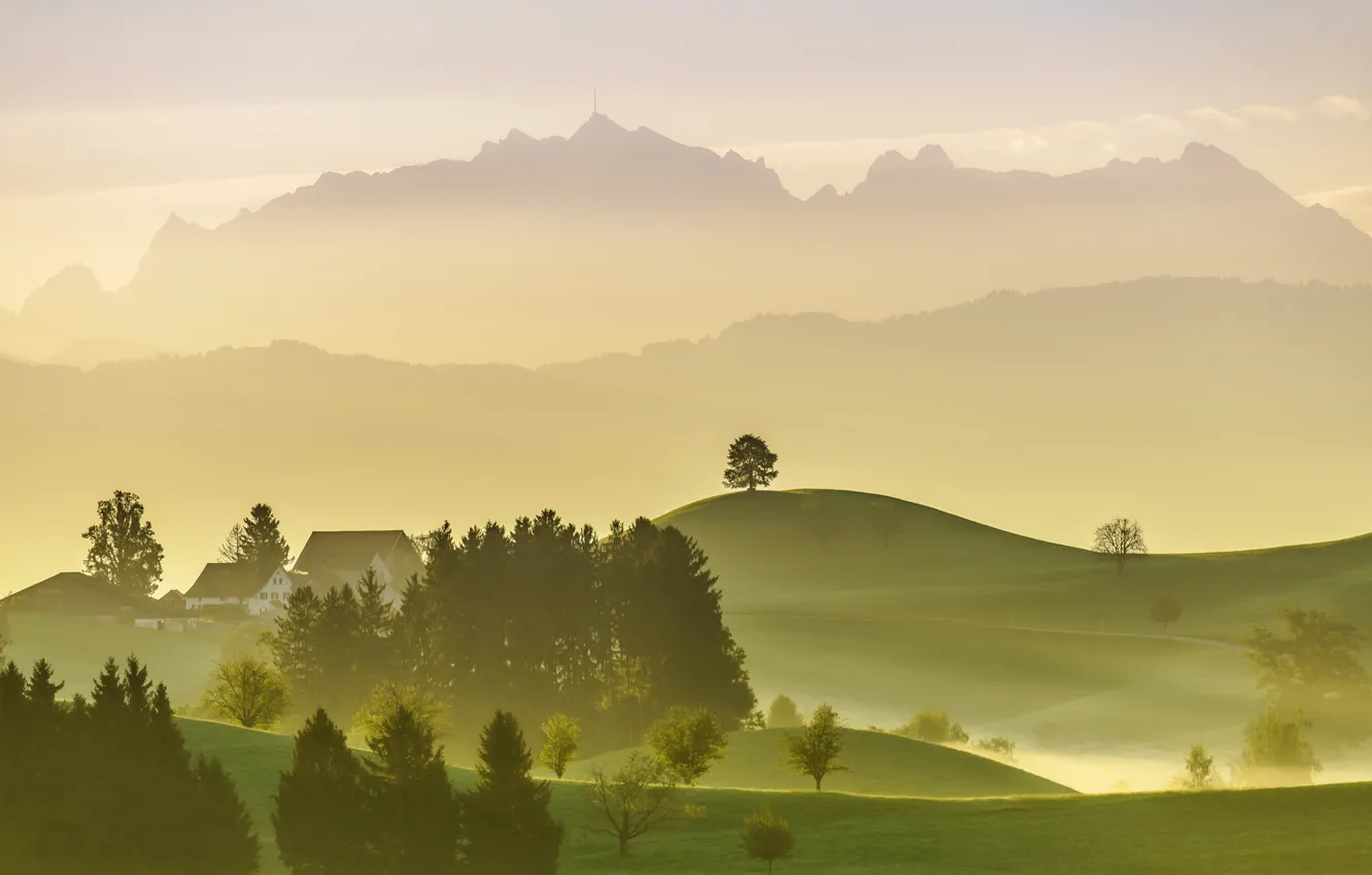Photo wallpaper trees, mountains, nature, fog, home, Switzerland