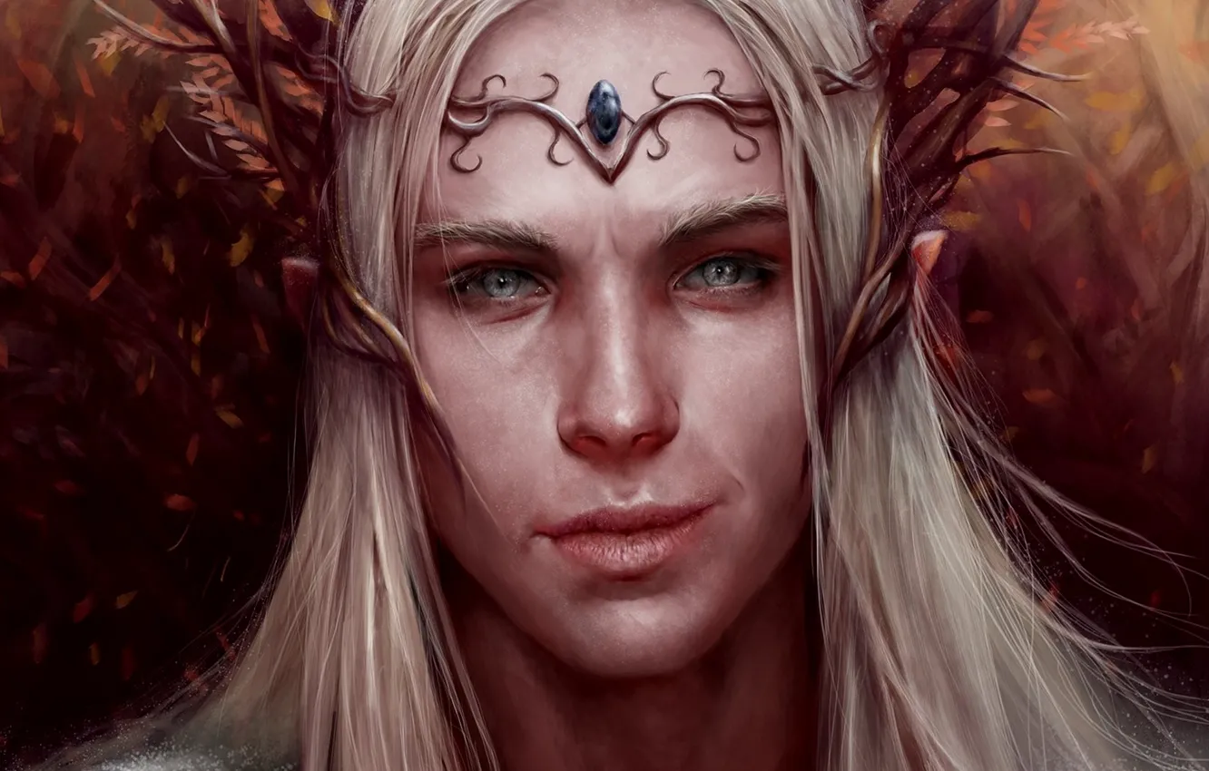 Photo wallpaper look, elf, Thranduil