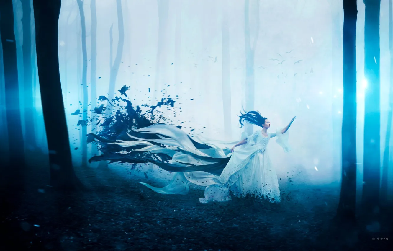 Photo wallpaper forest, girl, bird, dress