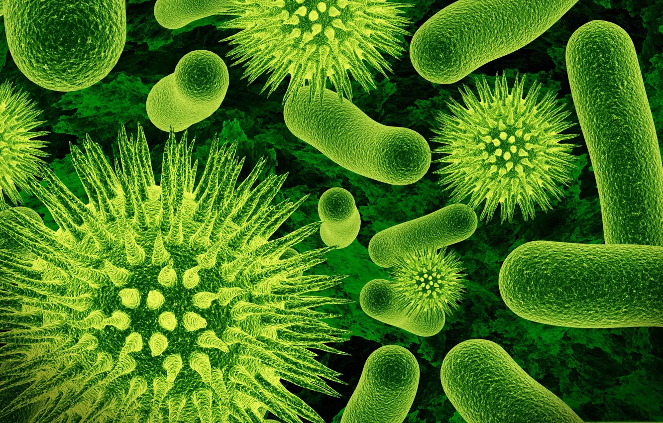 Photo wallpaper biology, increase, bacteria, microorganisms