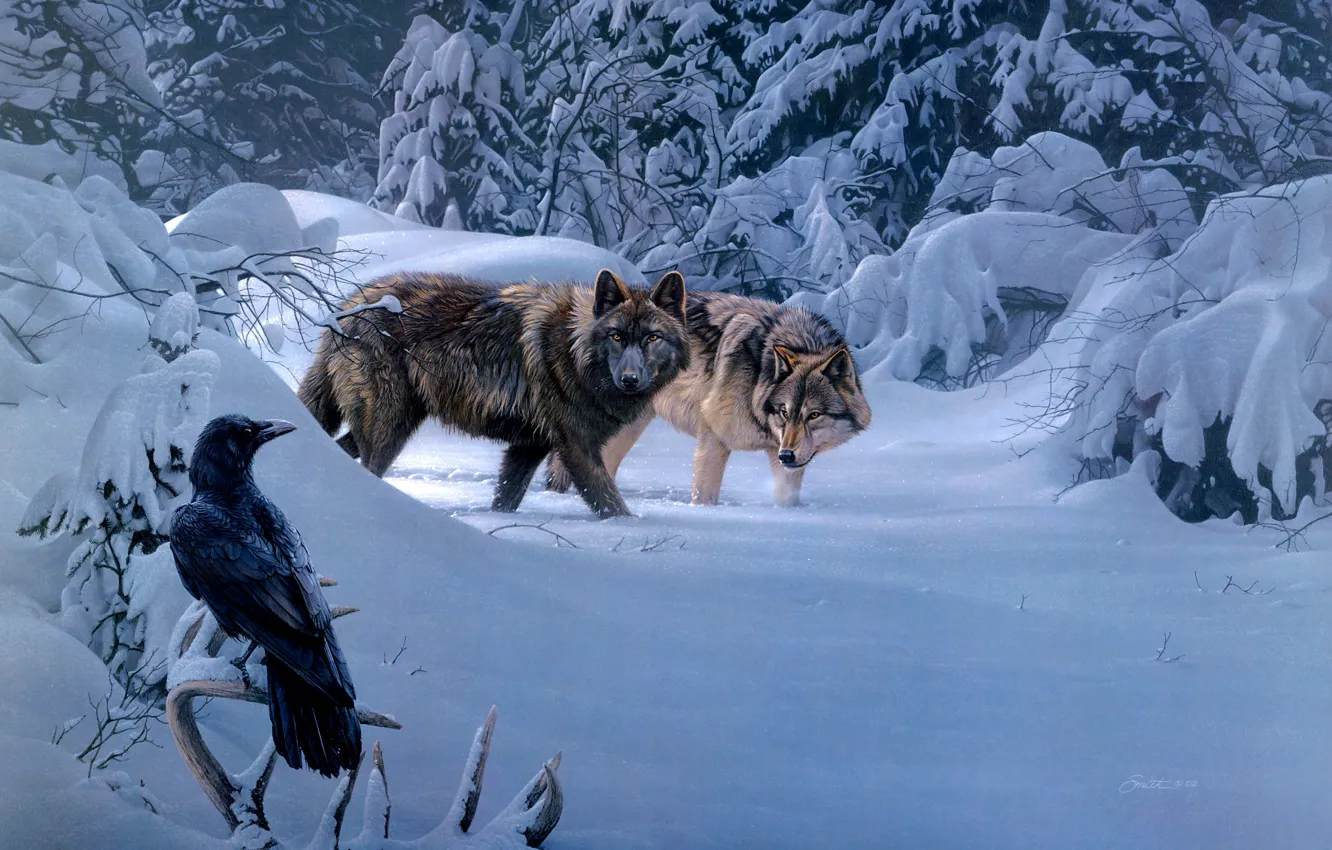 Photo wallpaper winter, bird, wolf, Raven, Daniel Smith