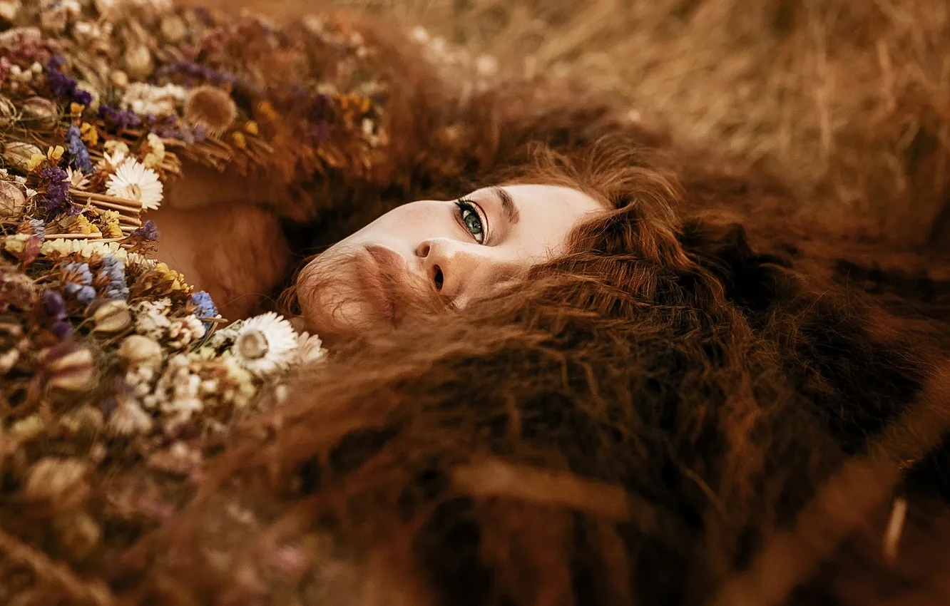 Photo wallpaper look, girl, flowers, nature, face, style, glade, portrait