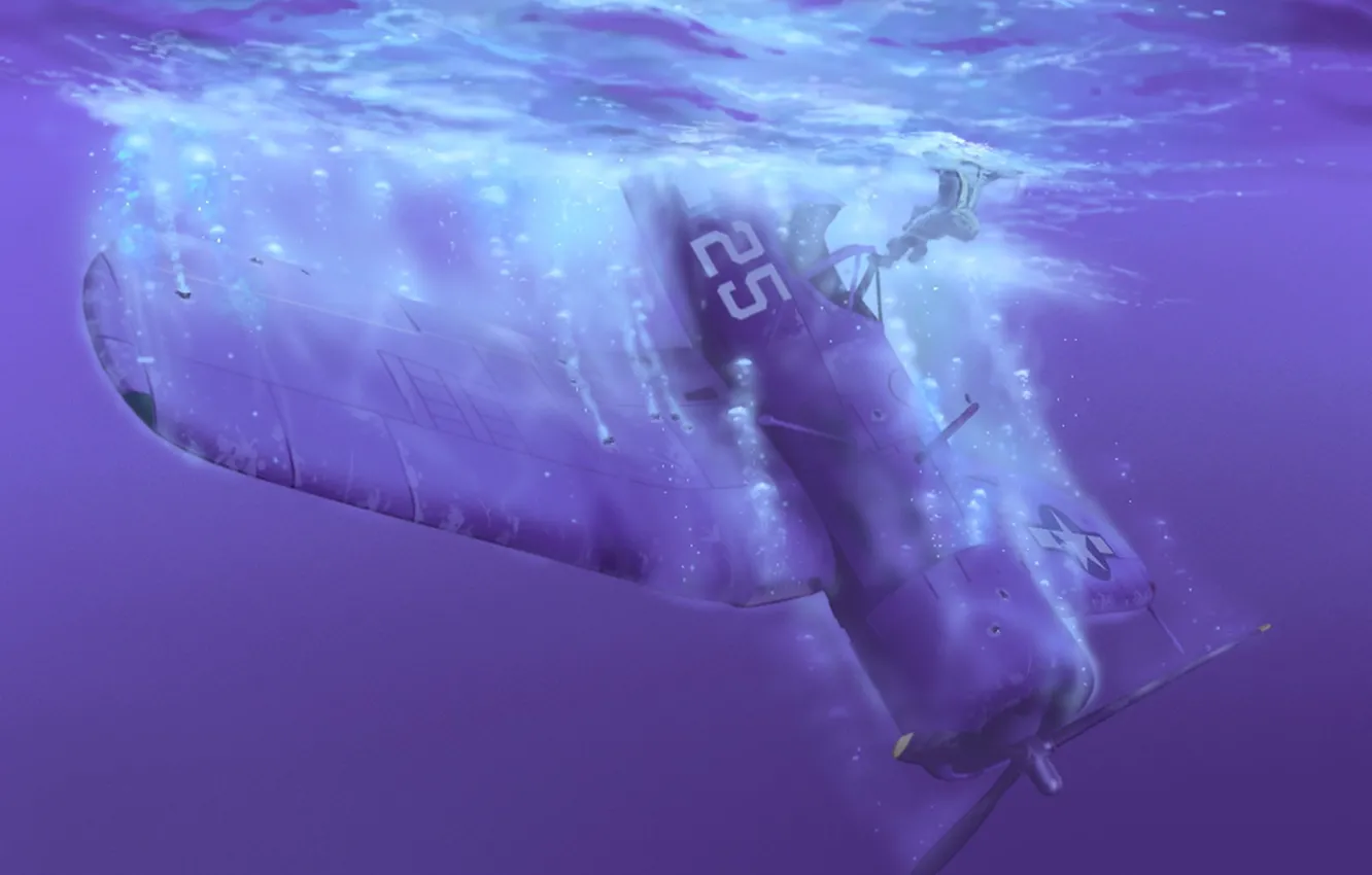 Photo wallpaper water, the plane