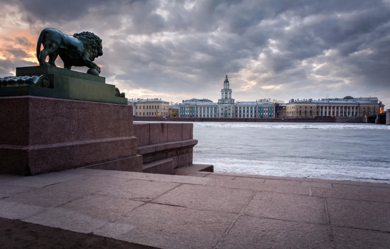 Photo wallpaper river, building, Leo, Saint Petersburg, sculpture, Russia, promenade, Cabinet of curiosities