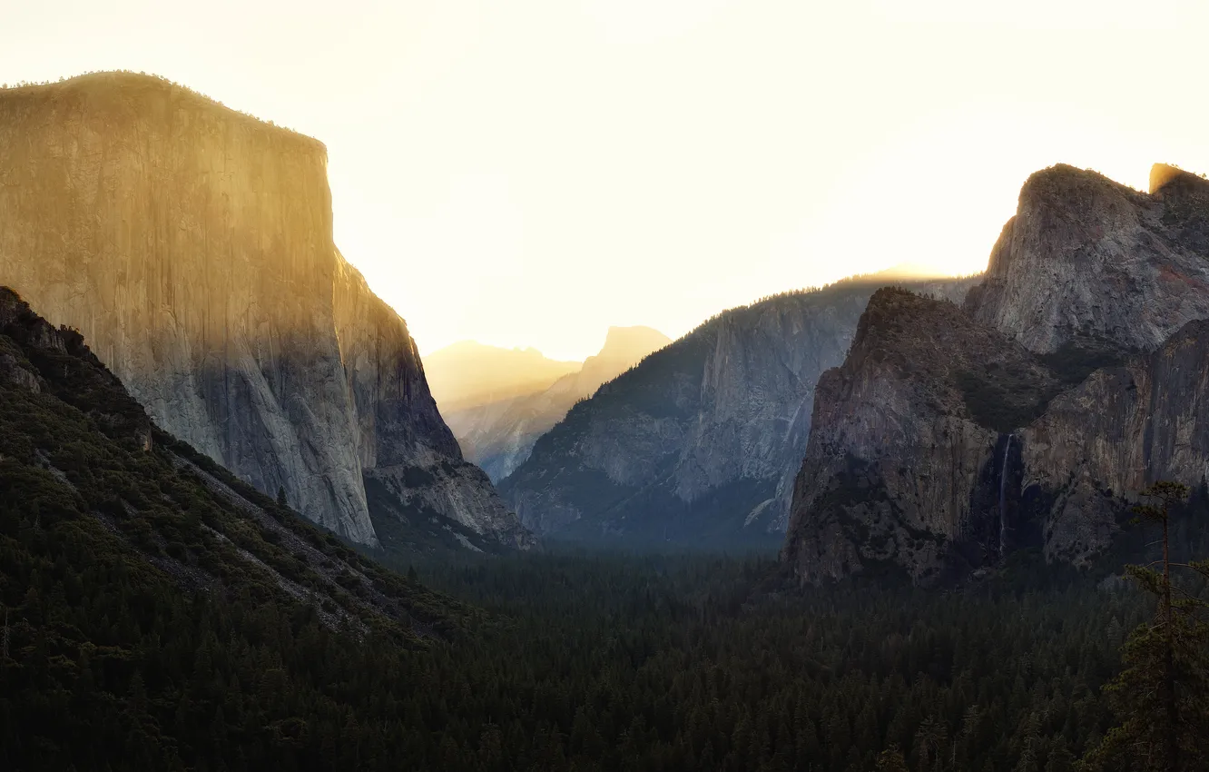 Photo wallpaper forest, mountains, national Park, Yosemite National Park, Burning Edges
