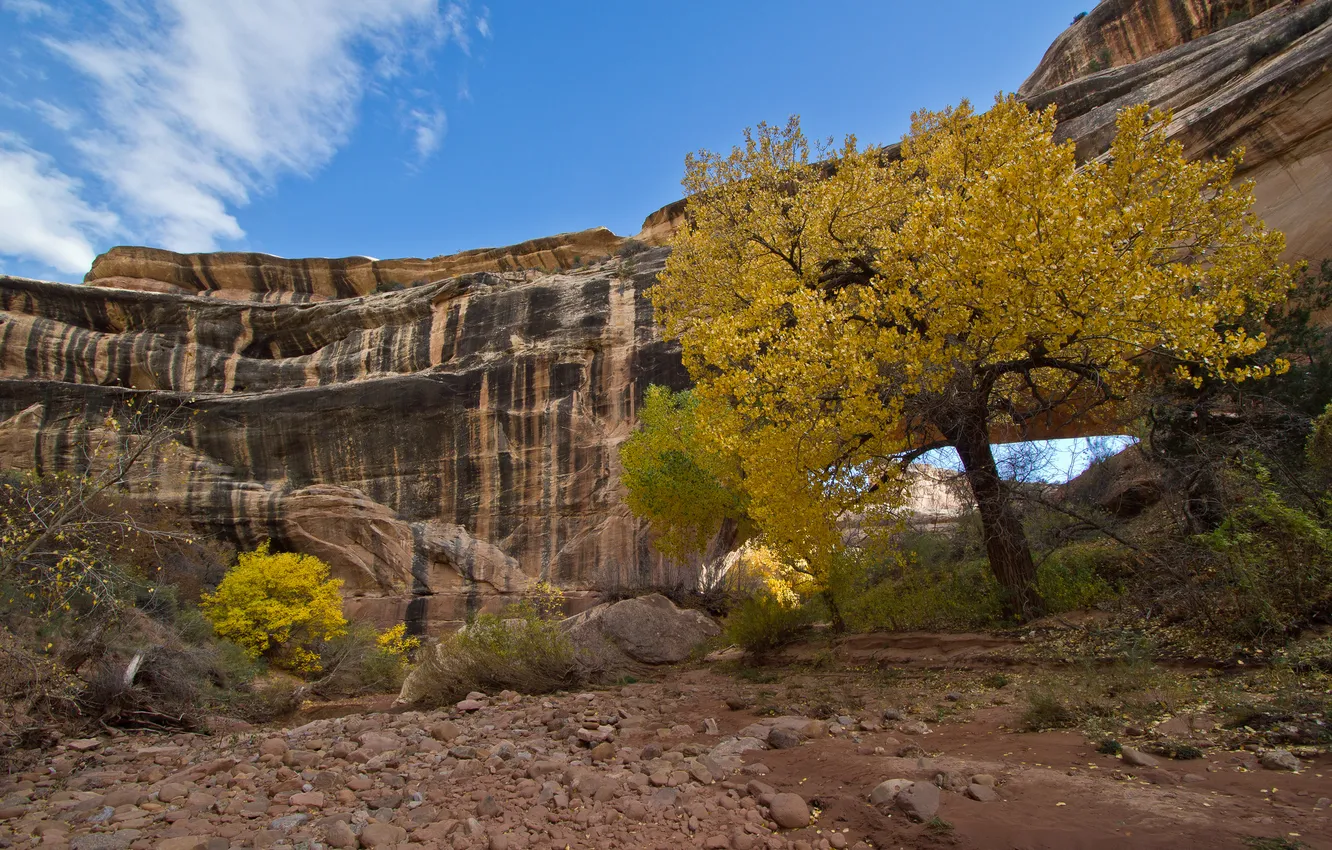 Photo wallpaper autumn, the sky, trees, stones, rocks